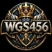 wgs456 game