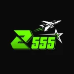 z555 game
